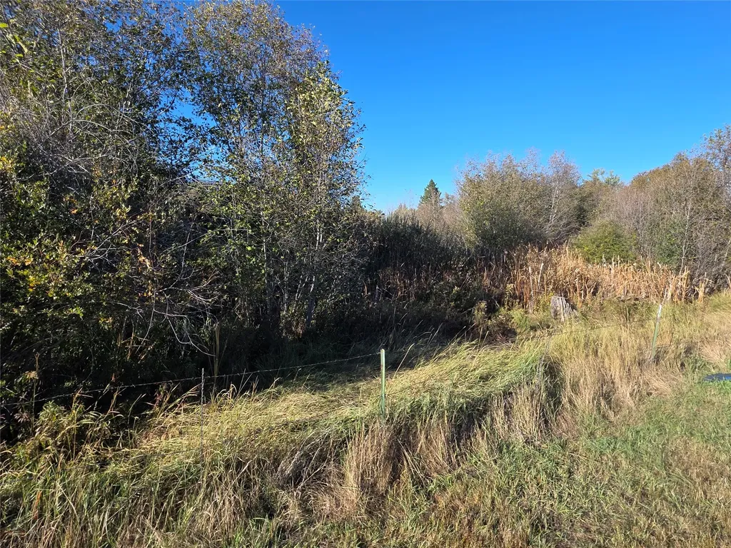 2326 Middle Bear Creek Road Victor MT 59875