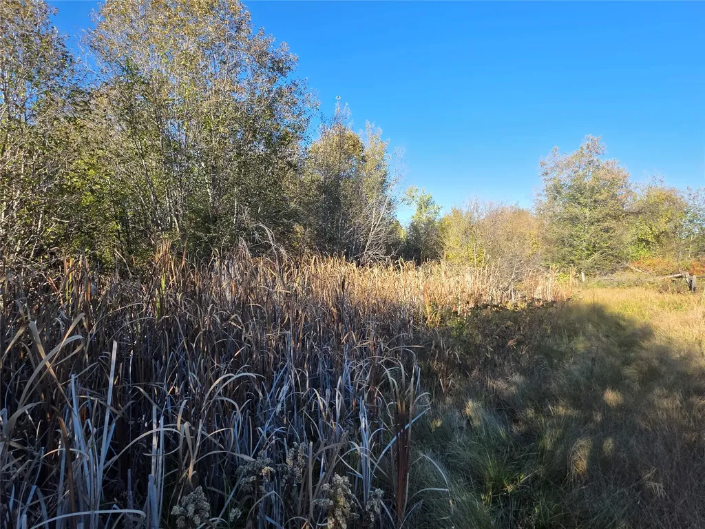 2326 Middle Bear Creek Road Victor MT 59875
