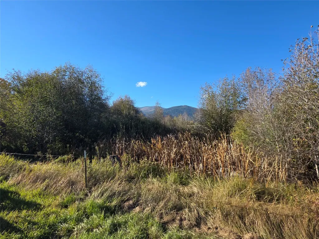 2326 Middle Bear Creek Road Victor MT 59875