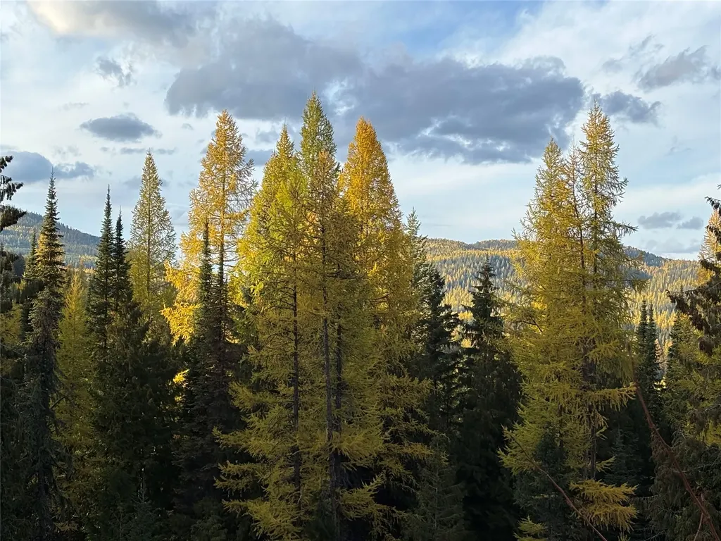 1089 Cedar Hills Road Trego MT 59934