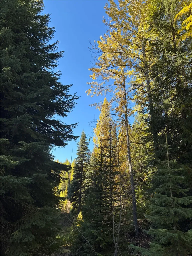 1089 Cedar Hills Road Trego MT 59934