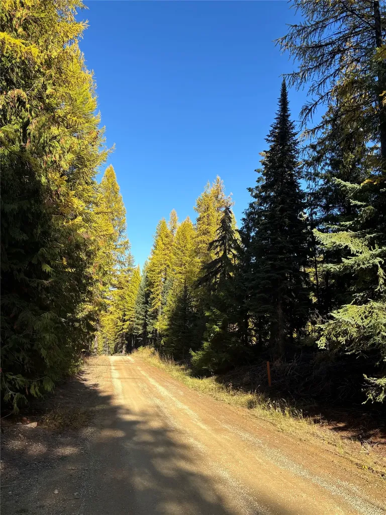 1089 Cedar Hills Road Trego MT 59934