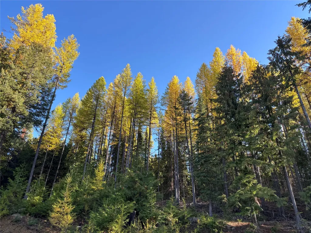 1089 Cedar Hills Road Trego MT 59934