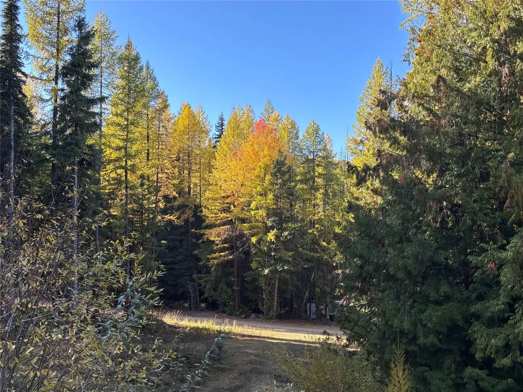 1089 Cedar Hills Road Trego MT 59934