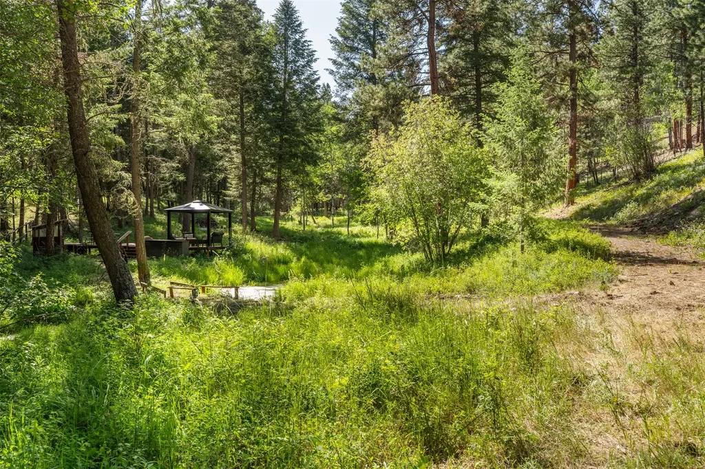 181 Hart Bench Road Darby MT 59829
