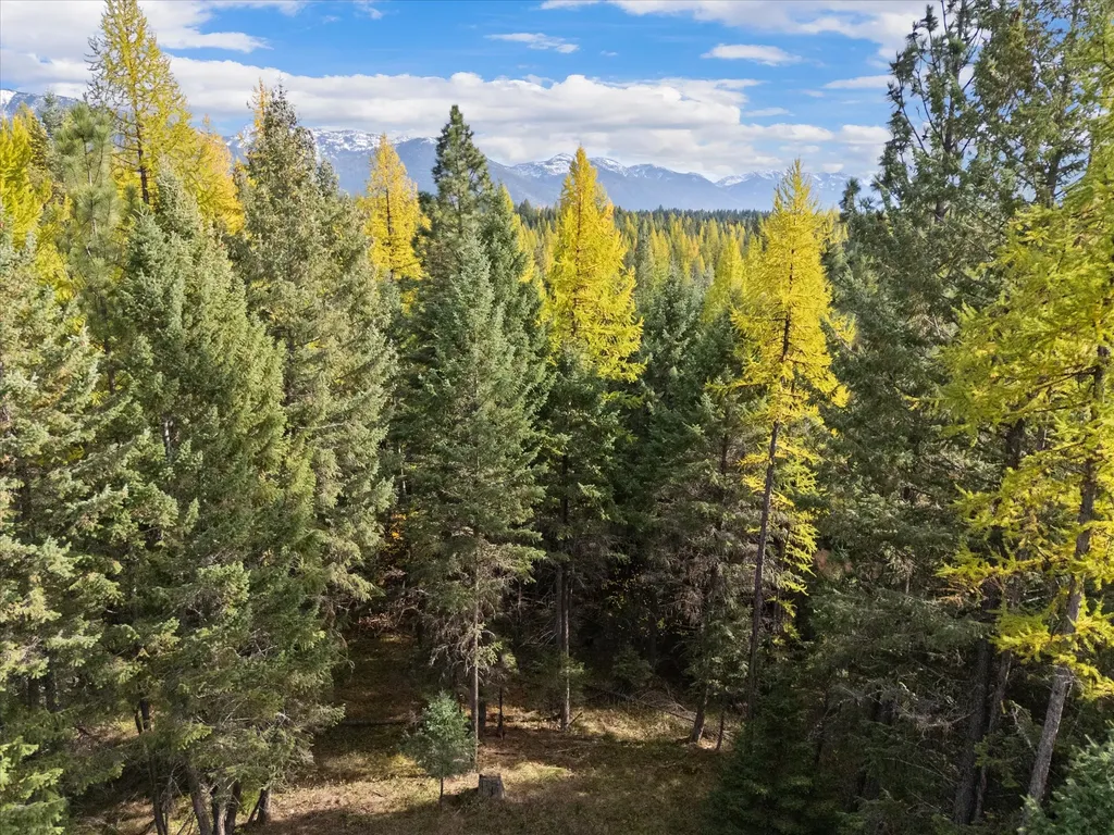 155 Spotted Fawn Lane Kalispell MT 59901