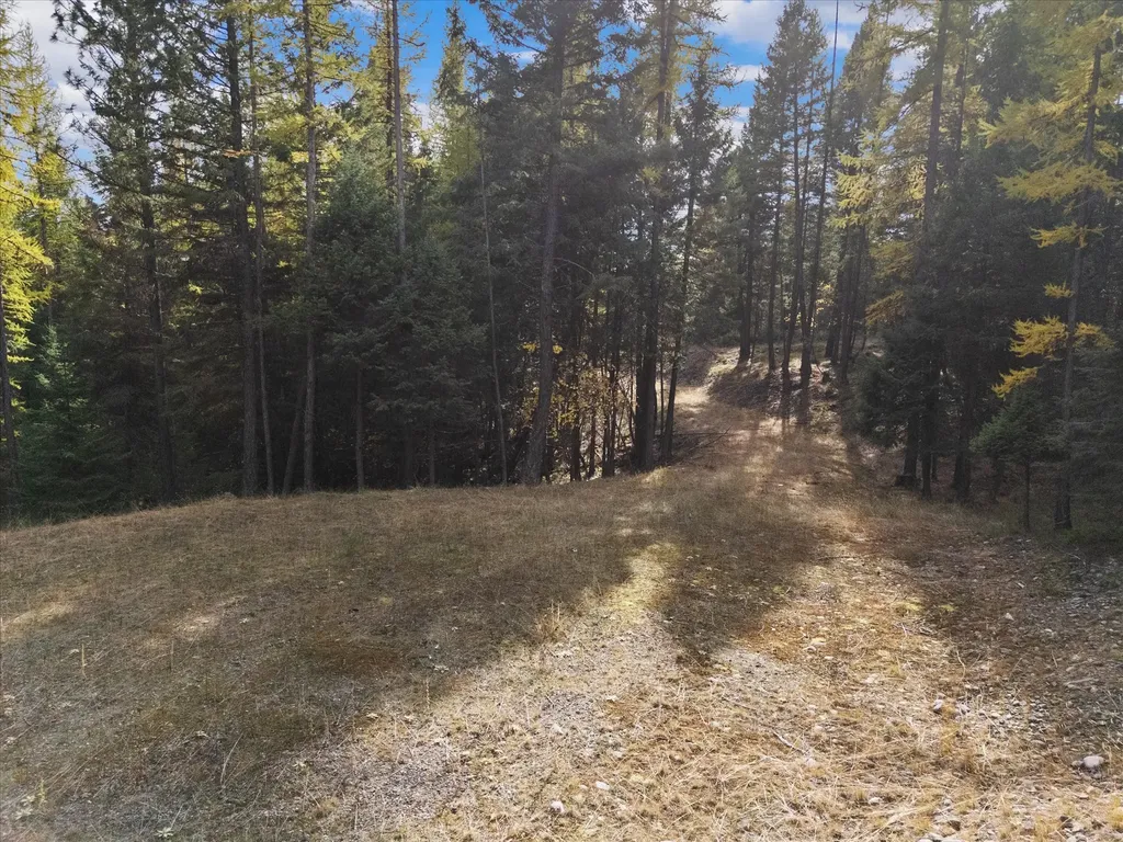 155 Spotted Fawn Lane Kalispell MT 59901
