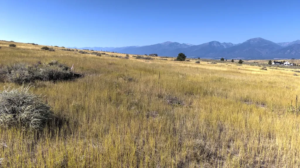 Lot 56 A & B Three Mile Drive N Stevensville MT 59870