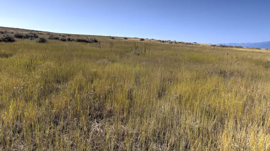 Lot 56 A & B Three Mile Drive N Stevensville MT 59870