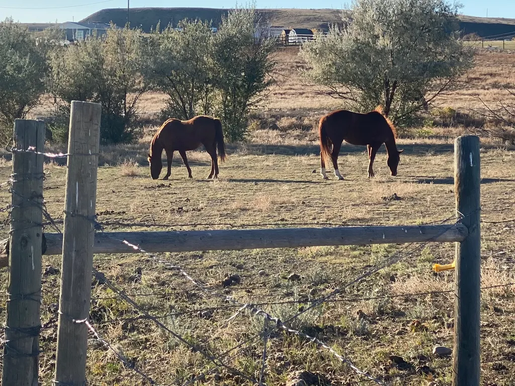 Tbd Appaloosa Lane Vaughn MT 59487