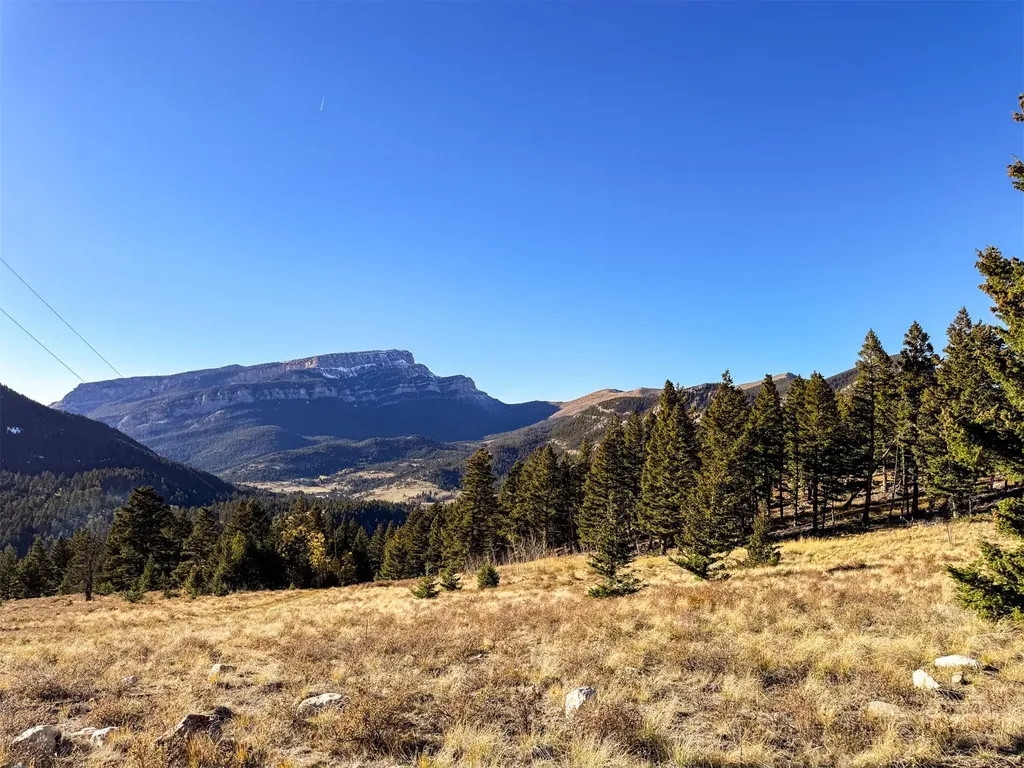 3528 Table Mountain Road Augusta MT 59410