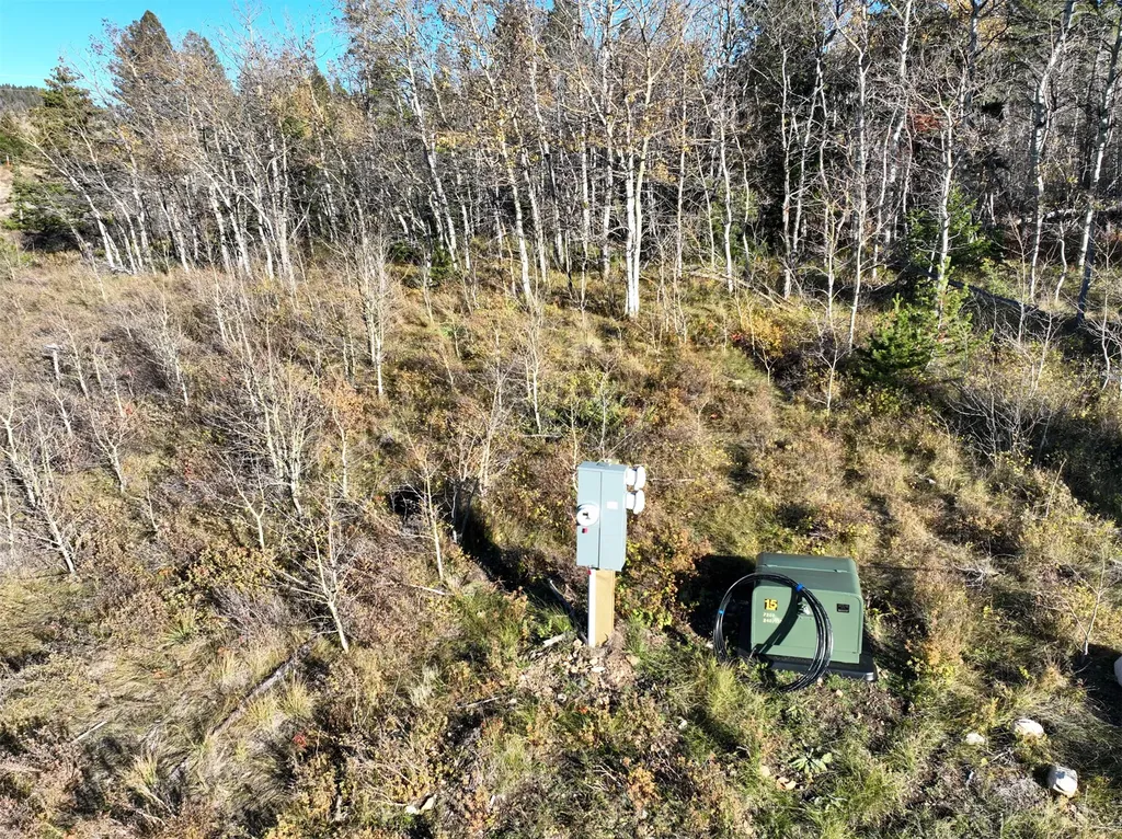 3528 Table Mountain Road Augusta MT 59410