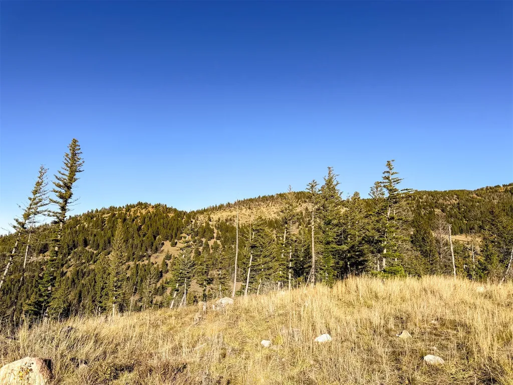 3528 Table Mountain Road Augusta MT 59410
