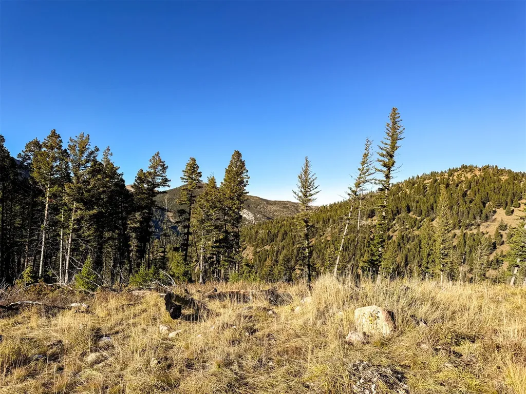 3528 Table Mountain Road Augusta MT 59410