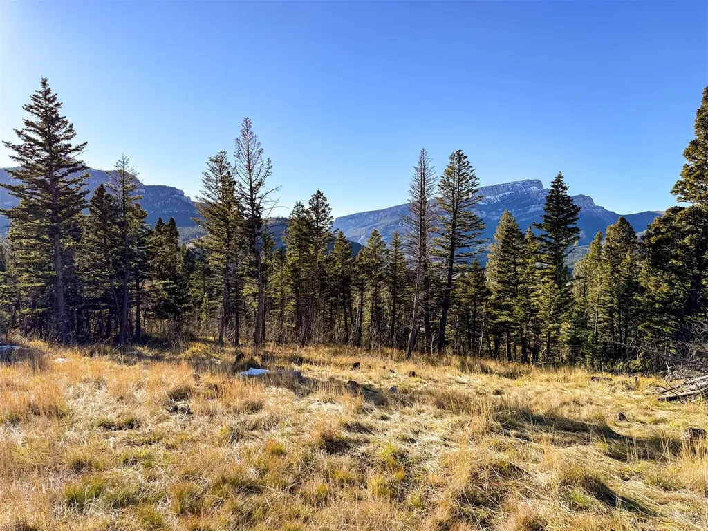 3528 Table Mountain Road Augusta MT 59410