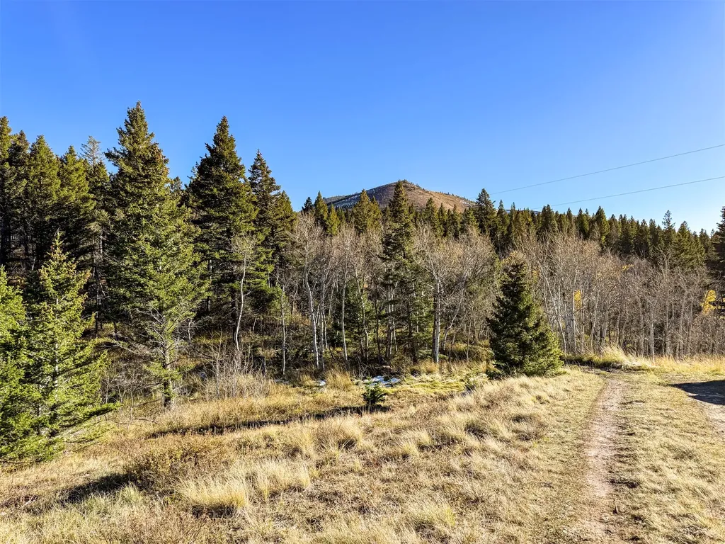 3528 Table Mountain Road Augusta MT 59410