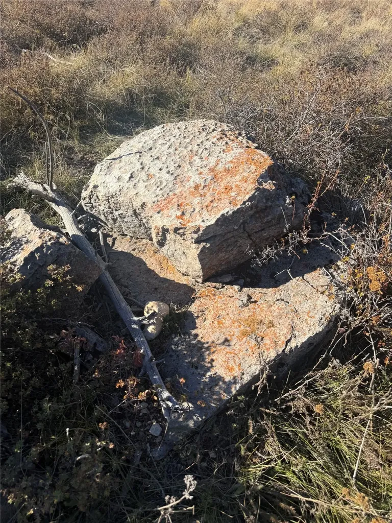 3528 Table Mountain Road Augusta MT 59410