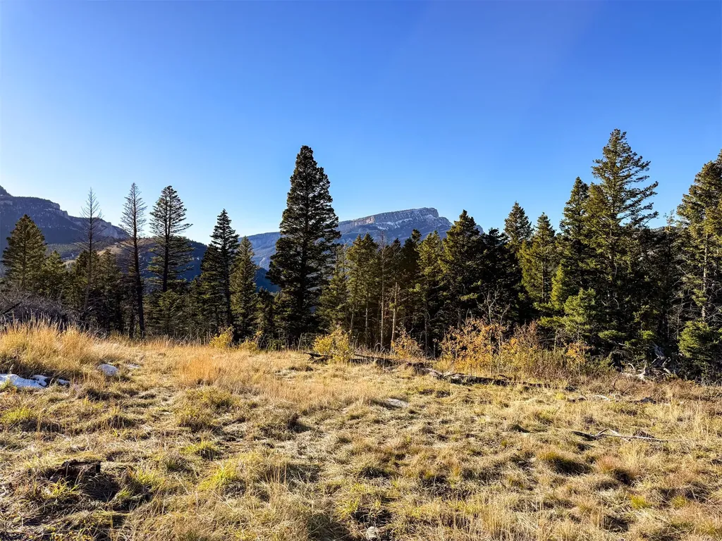 3528 Table Mountain Road Augusta MT 59410
