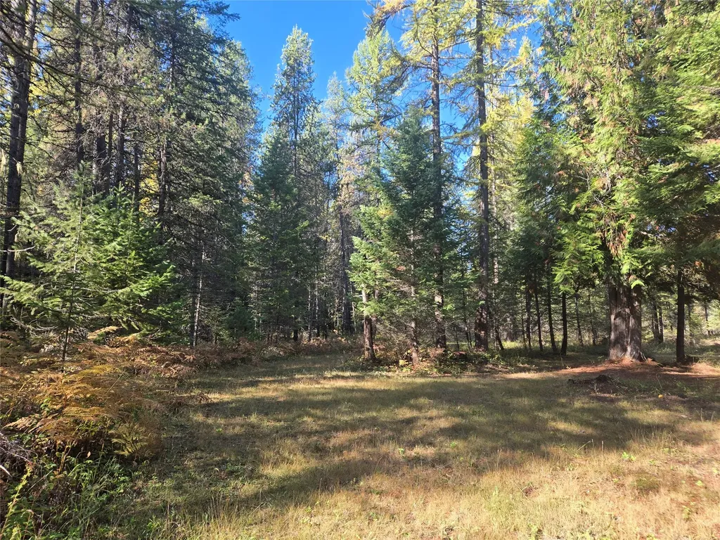 49 Government Mountain Road Noxon MT 59853
