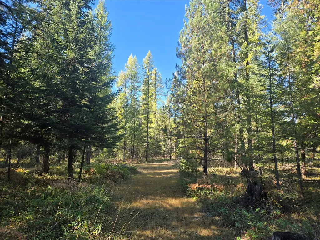 49 Government Mountain Road Noxon MT 59853