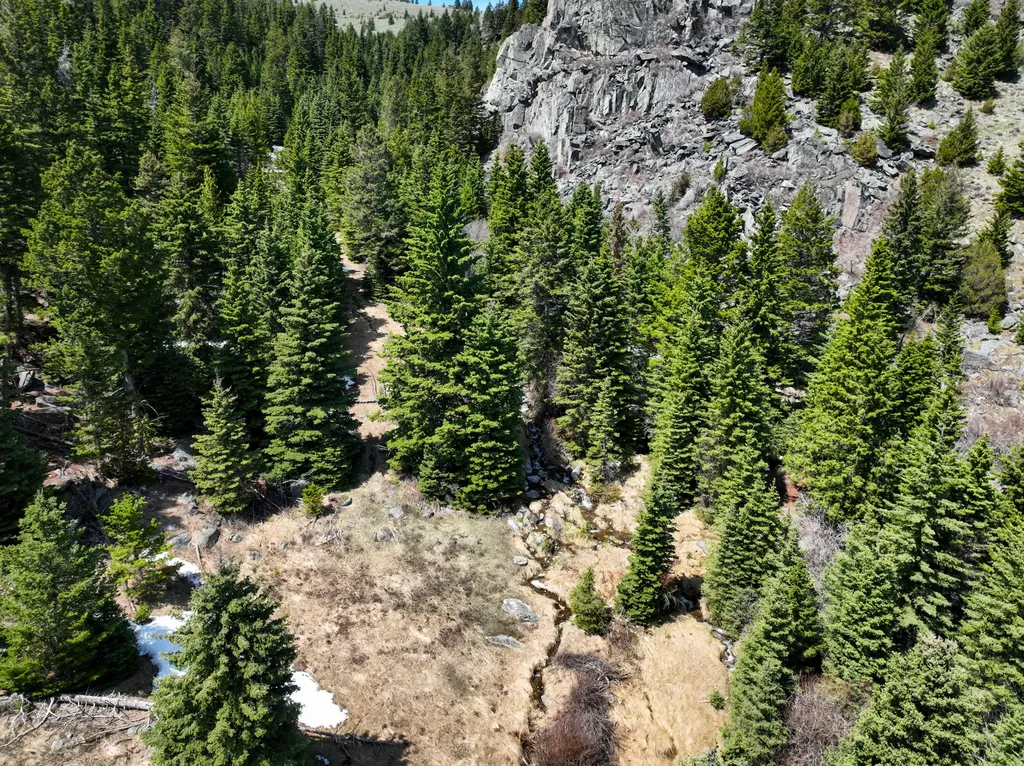 Nhn (160 Acres) Charcoal Creek Pony MT 59747