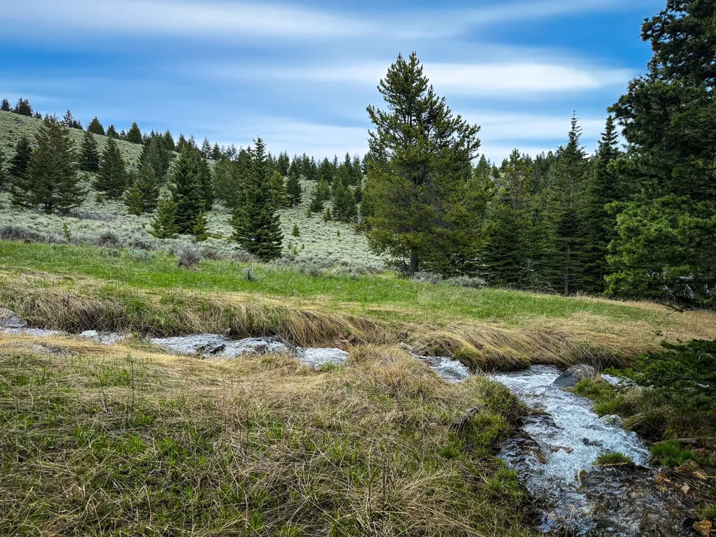 Nhn (160 Acres) Charcoal Creek Pony MT 59747