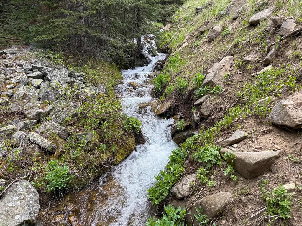 Nhn (160 Acres) Charcoal Creek Pony MT 59747
