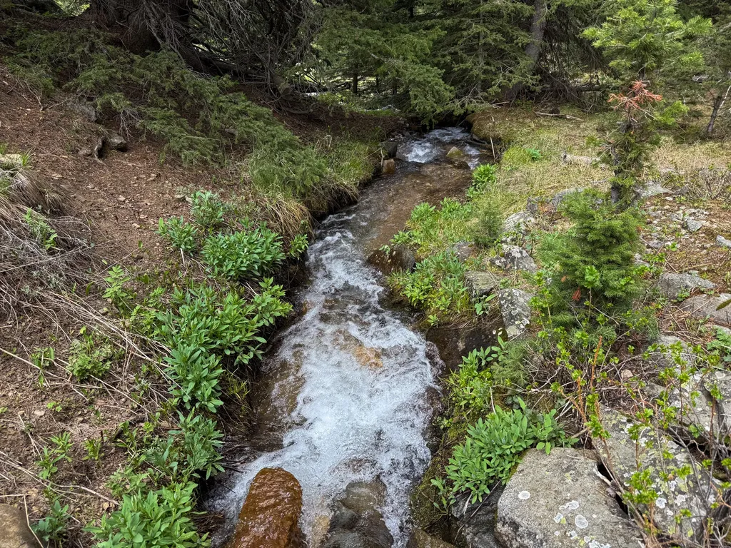 Nhn (160 Acres) Charcoal Creek Pony MT 59747