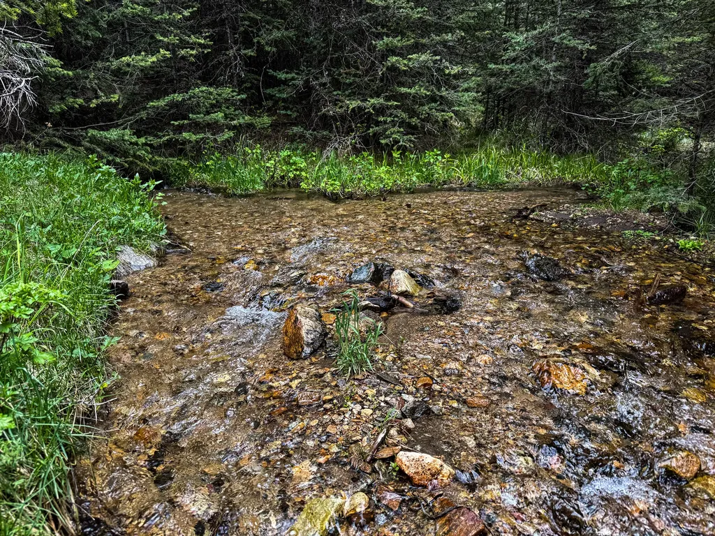 Nhn (160 Acres) Charcoal Creek Pony MT 59747