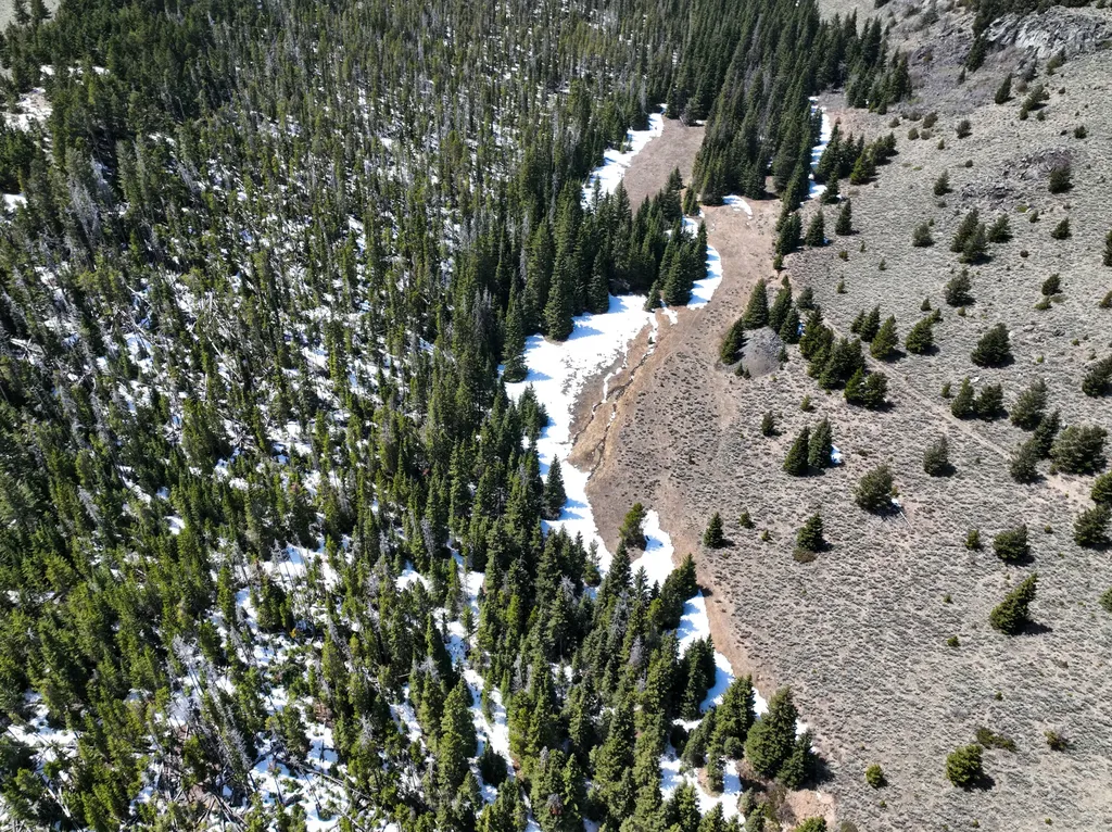 Nhn (160 Acres) Charcoal Creek Pony MT 59747