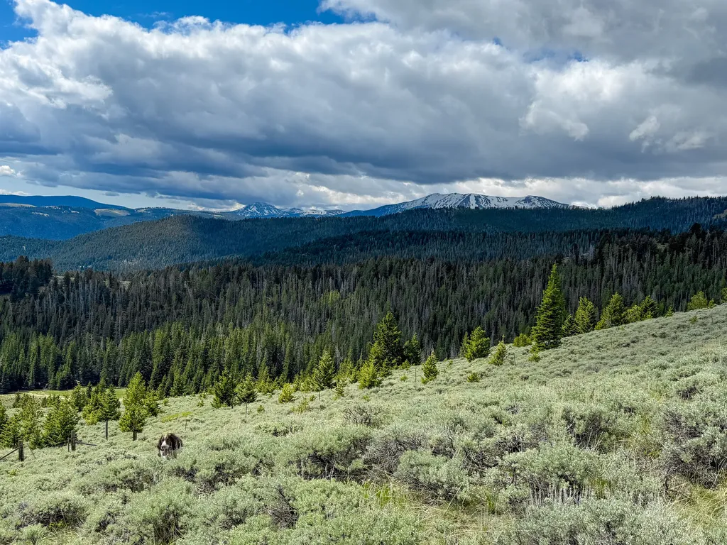 Nhn (160 Acres) Charcoal Creek Pony MT 59747