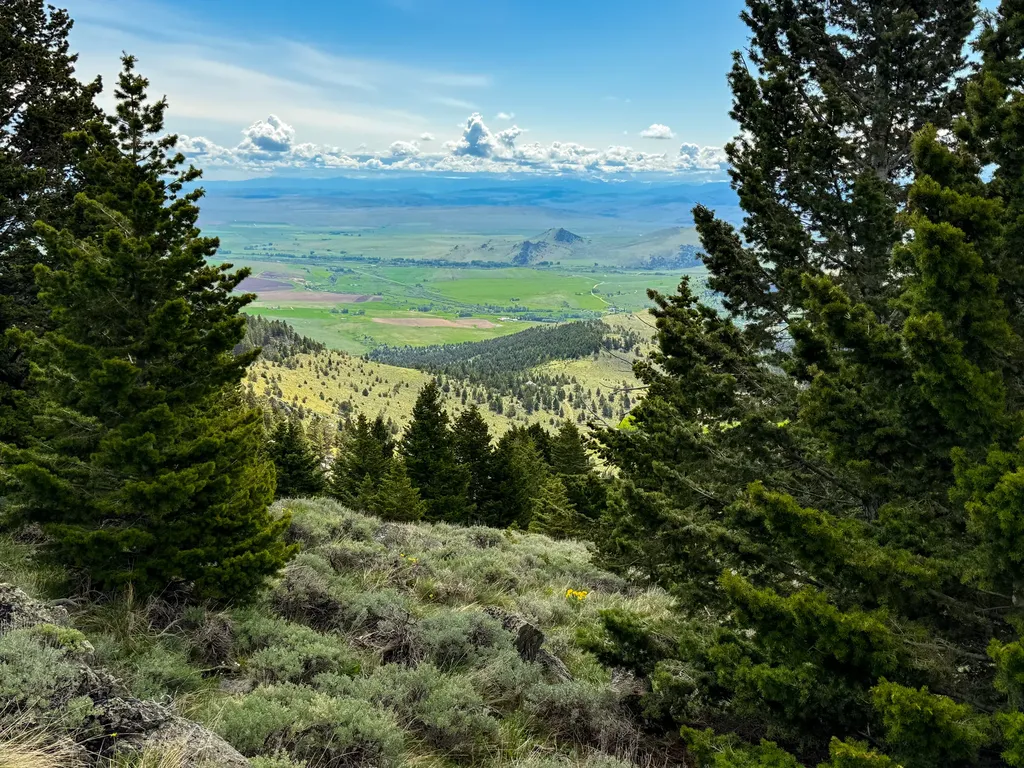 Nhn (160 Acres) Charcoal Creek Pony MT 59747