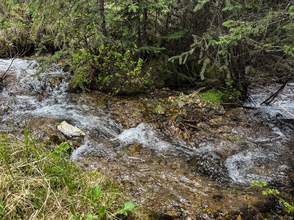 Nhn (160 Acres) Charcoal Creek Pony MT 59747