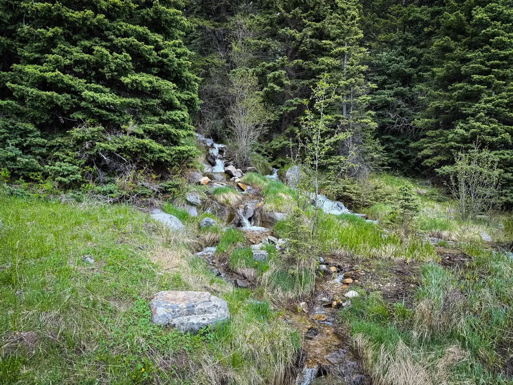 Nhn (160 Acres) Charcoal Creek Pony MT 59747