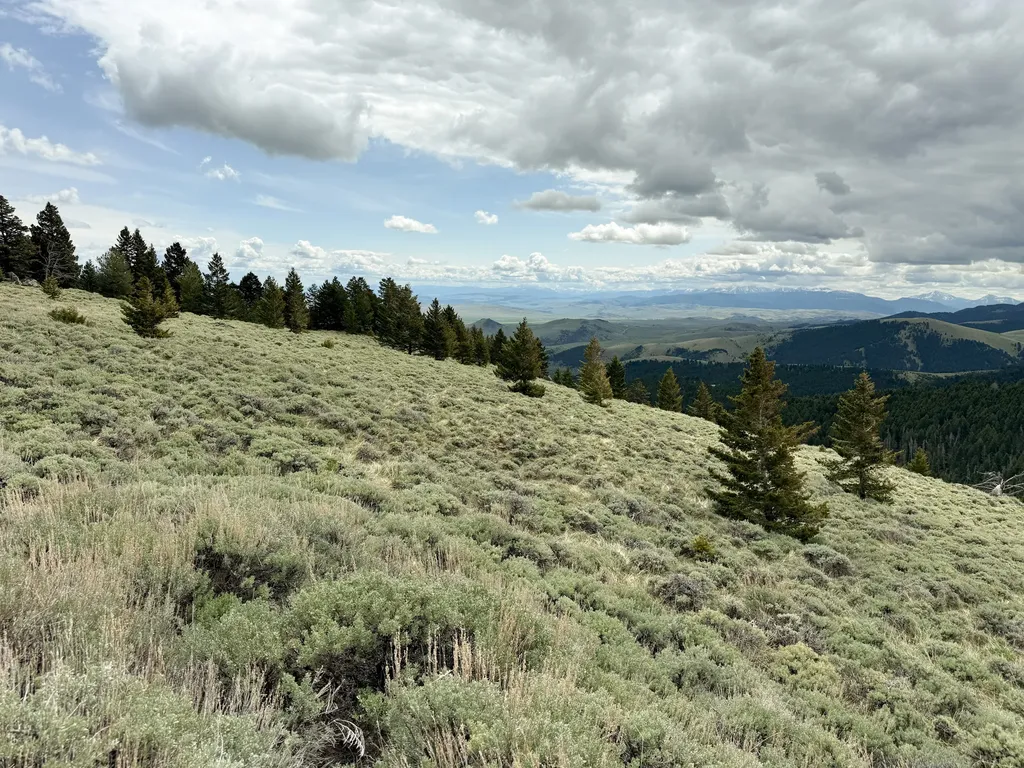 Nhn (160 Acres) Charcoal Creek Pony MT 59747