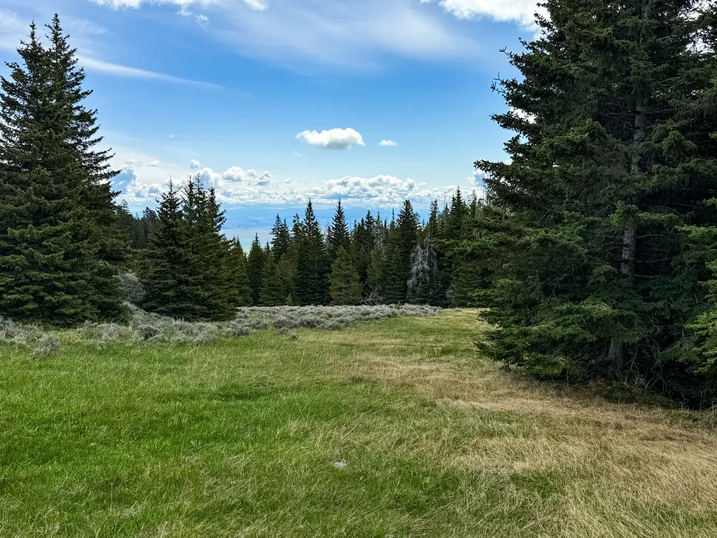 Nhn (160 Acres) Charcoal Creek Pony MT 59747