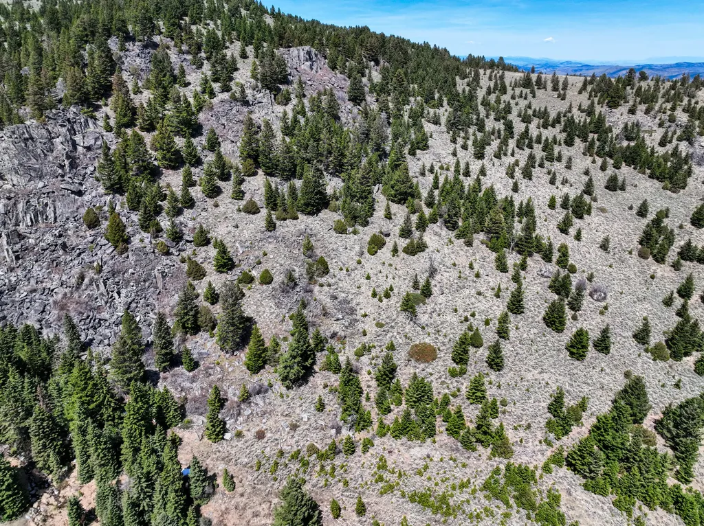 Nhn (160 Acres) Charcoal Creek Pony MT 59747