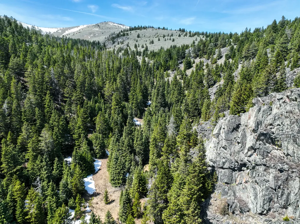 Nhn (160 Acres) Charcoal Creek Pony MT 59747