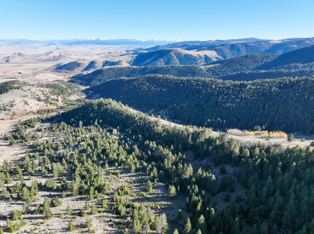 Nhn (160 Acres) Charcoal Creek Pony MT 59747