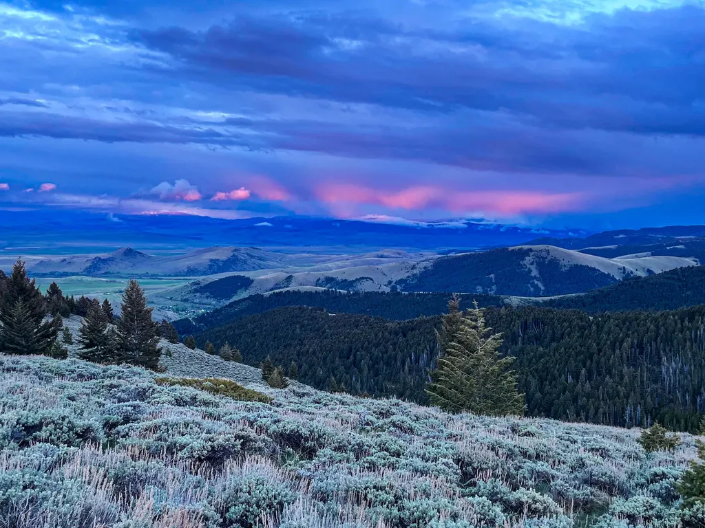 Nhn (160 Acres) Charcoal Creek Pony MT 59747