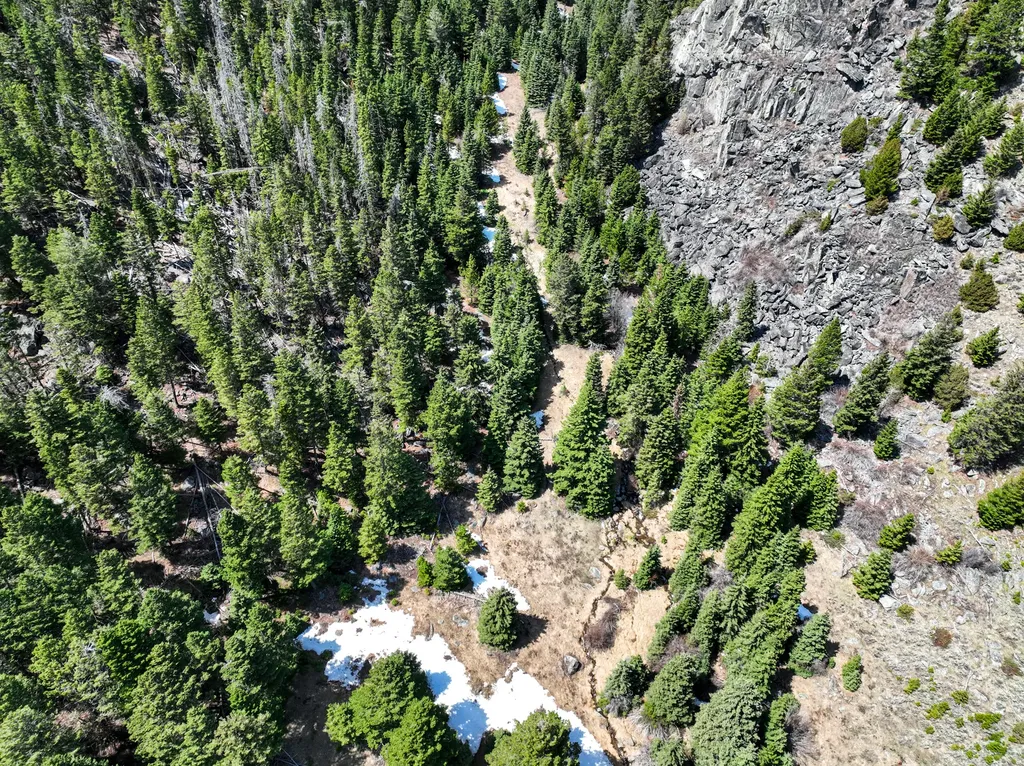 Nhn (160 Acres) Charcoal Creek Pony MT 59747
