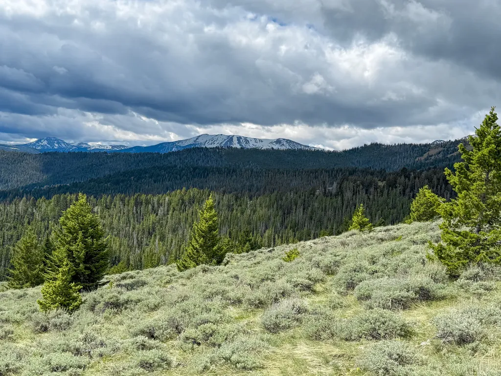 Nhn (160 Acres) Charcoal Creek Pony MT 59747