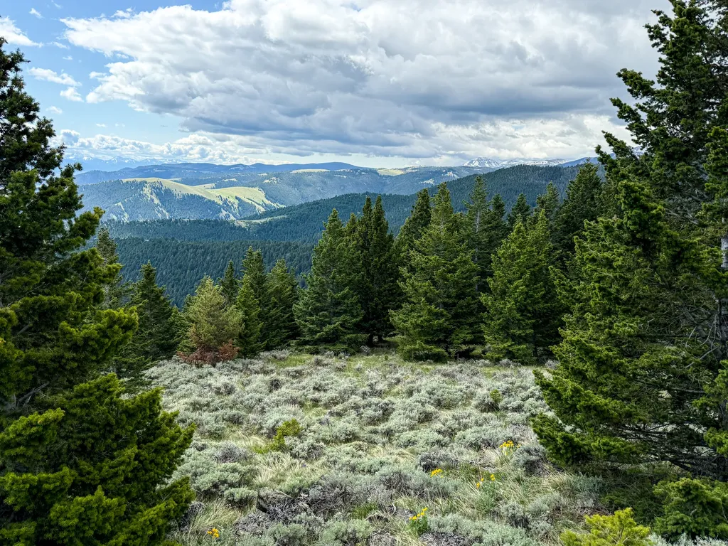 Nhn (160 Acres) Charcoal Creek Pony MT 59747