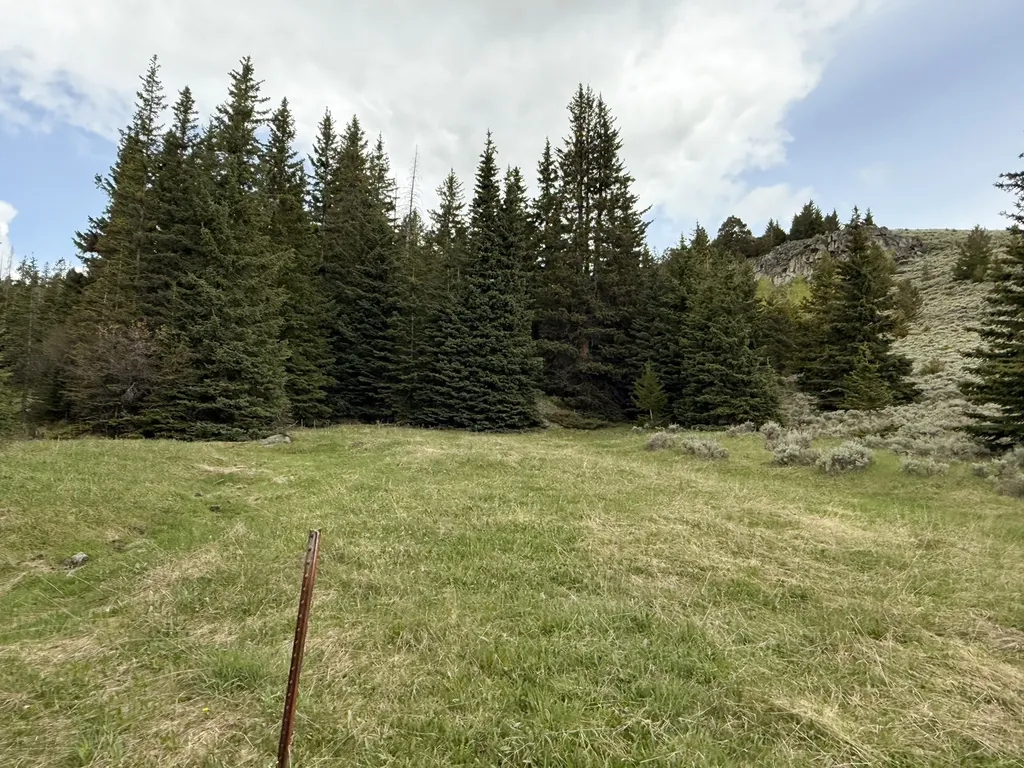 Nhn (160 Acres) Charcoal Creek Pony MT 59747