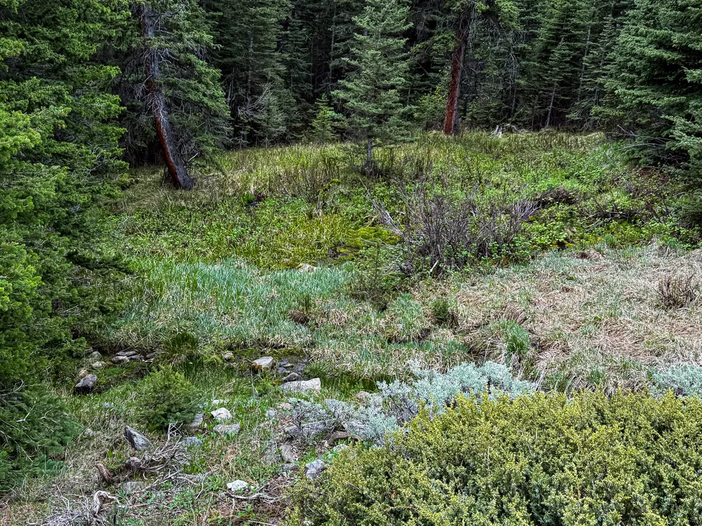 Nhn (160 Acres) Charcoal Creek Pony MT 59747