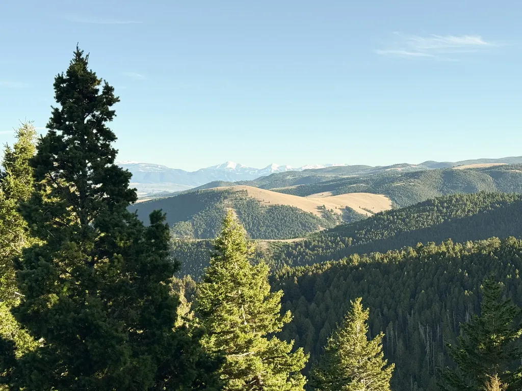 Nhn (160 Acres) Charcoal Creek Pony MT 59747