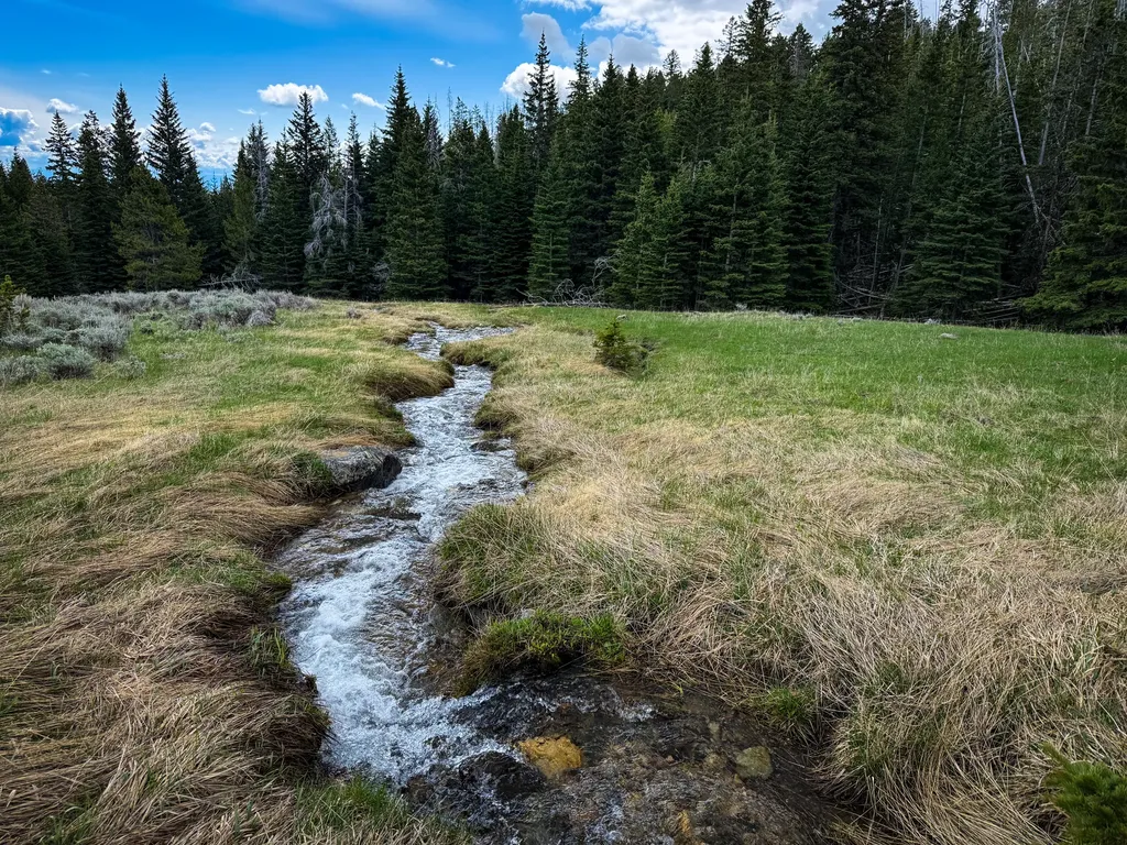Nhn (160 Acres) Charcoal Creek Pony MT 59747