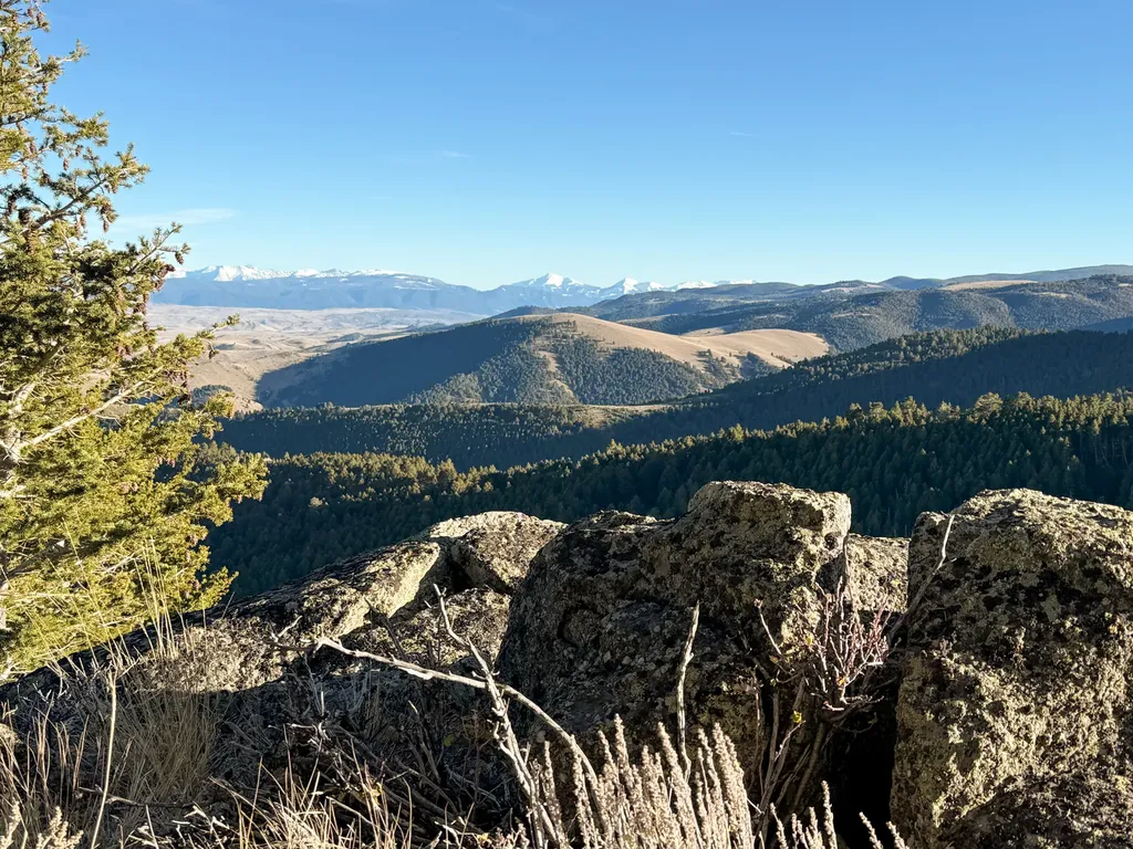 Nhn (160 Acres) Charcoal Creek Pony MT 59747