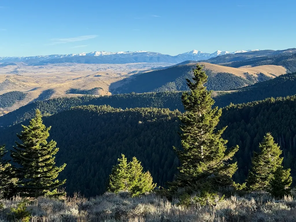 Nhn (160 Acres) Charcoal Creek Pony MT 59747