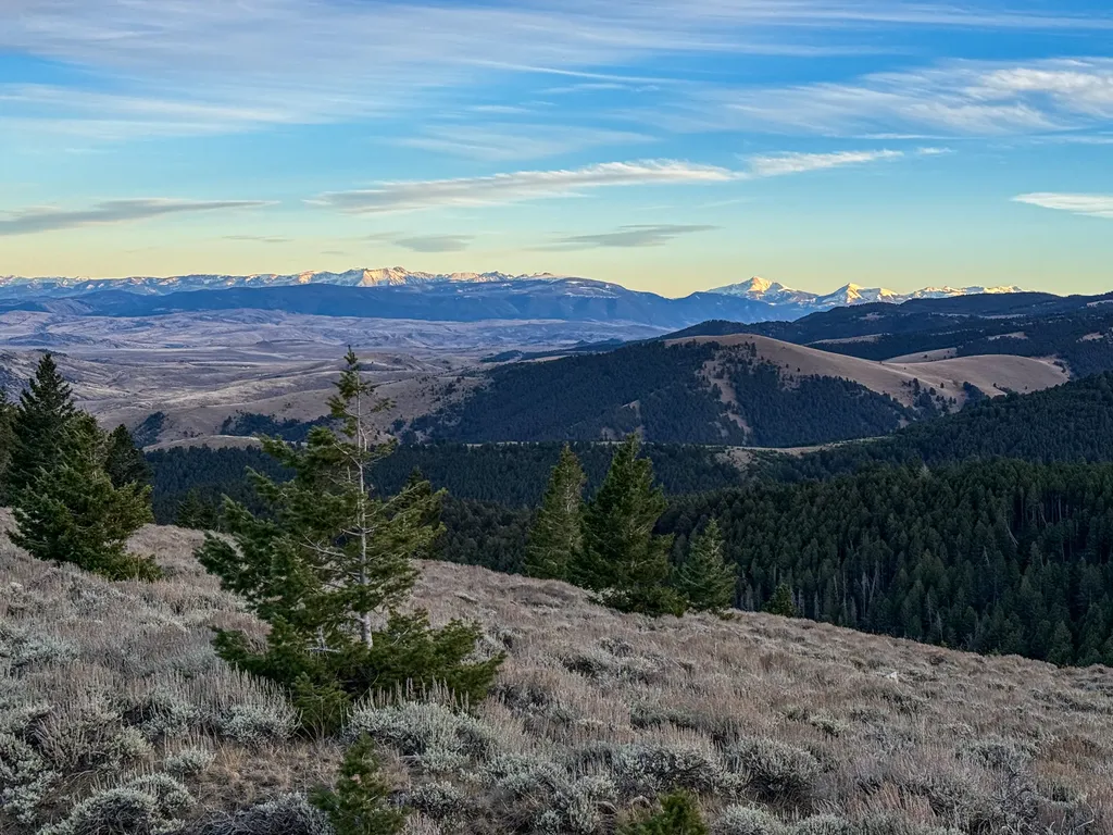 Nhn (160 Acres) Charcoal Creek Pony MT 59747